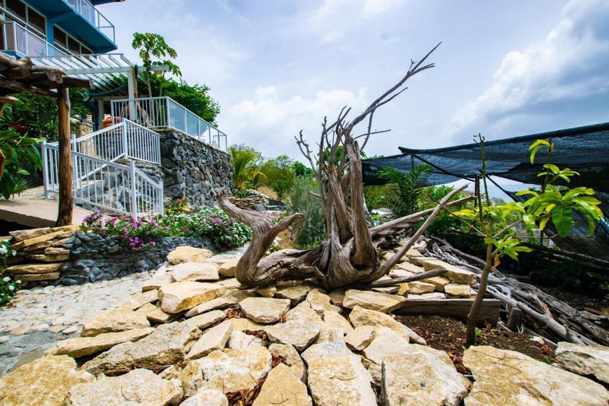 Garnet--A Gem At Dee'S Pearl Villa Carriacou Buitenkant foto